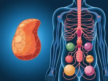 Imagen de referencia para Enfermedades endocrinas o nutricionales
