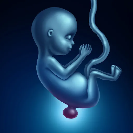 Imagen de referencia para Enfermedades congenitas