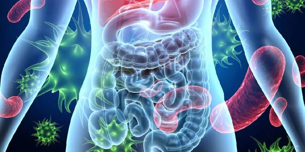 Imagen de referencia para Enfermedades inmunologicas, alergicas y reacciones toxicas
