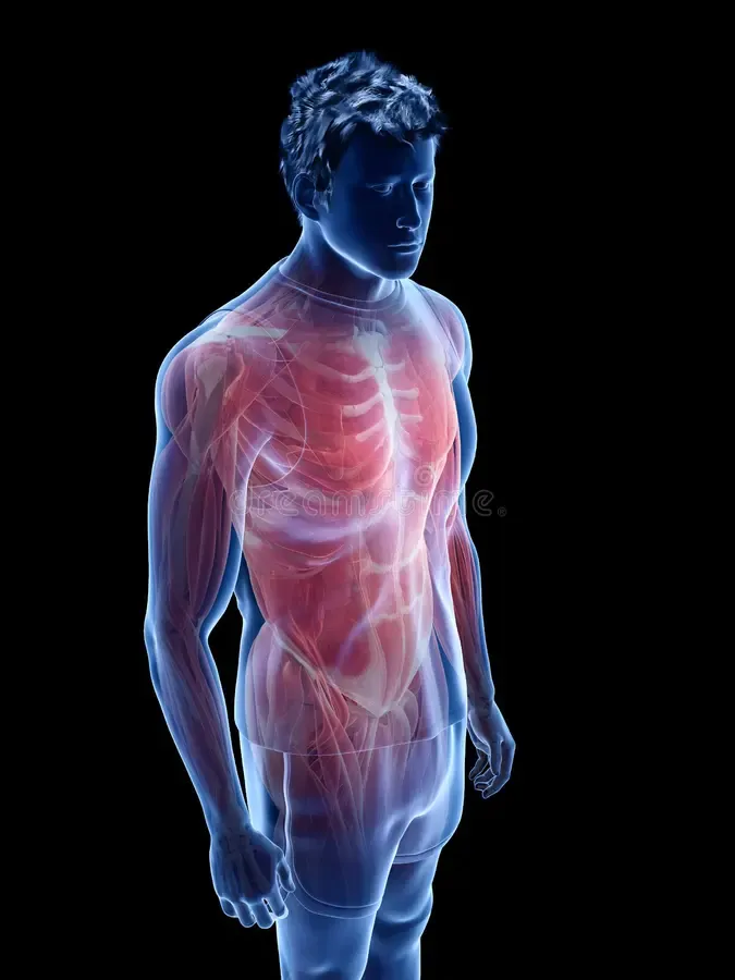 Imagen de referencia para Trastornos musculoesqueleticos y dolor cronico